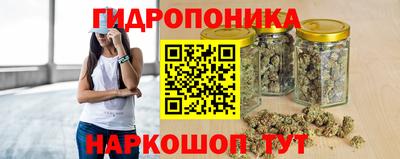 спиды Ливны
